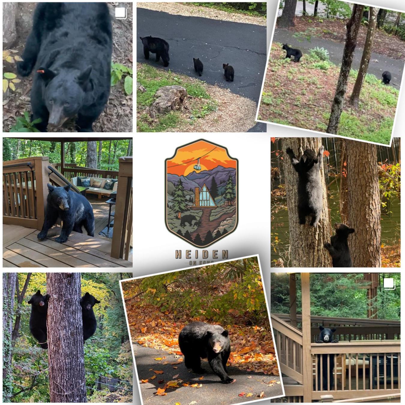 1Mile Downtown, Handicap Ramp, Hot Tub, Game Room Gatlinburg Exteriér fotografie